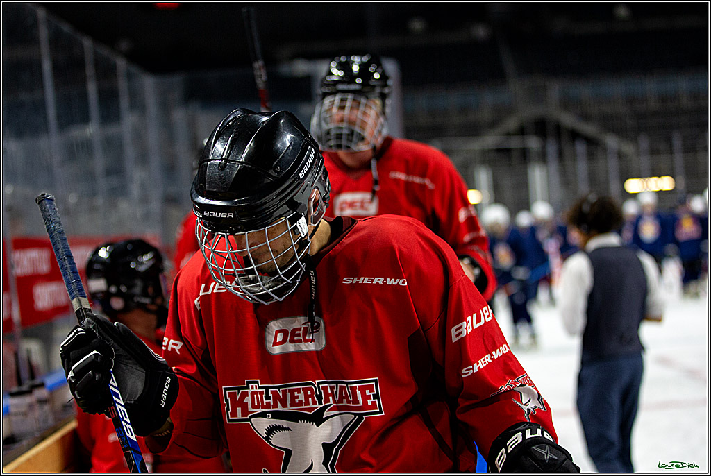 PENNY DEL; Koelner Haie- Red BUll Muenchen Sponsorenspiel; Koeln, 08.11.2022